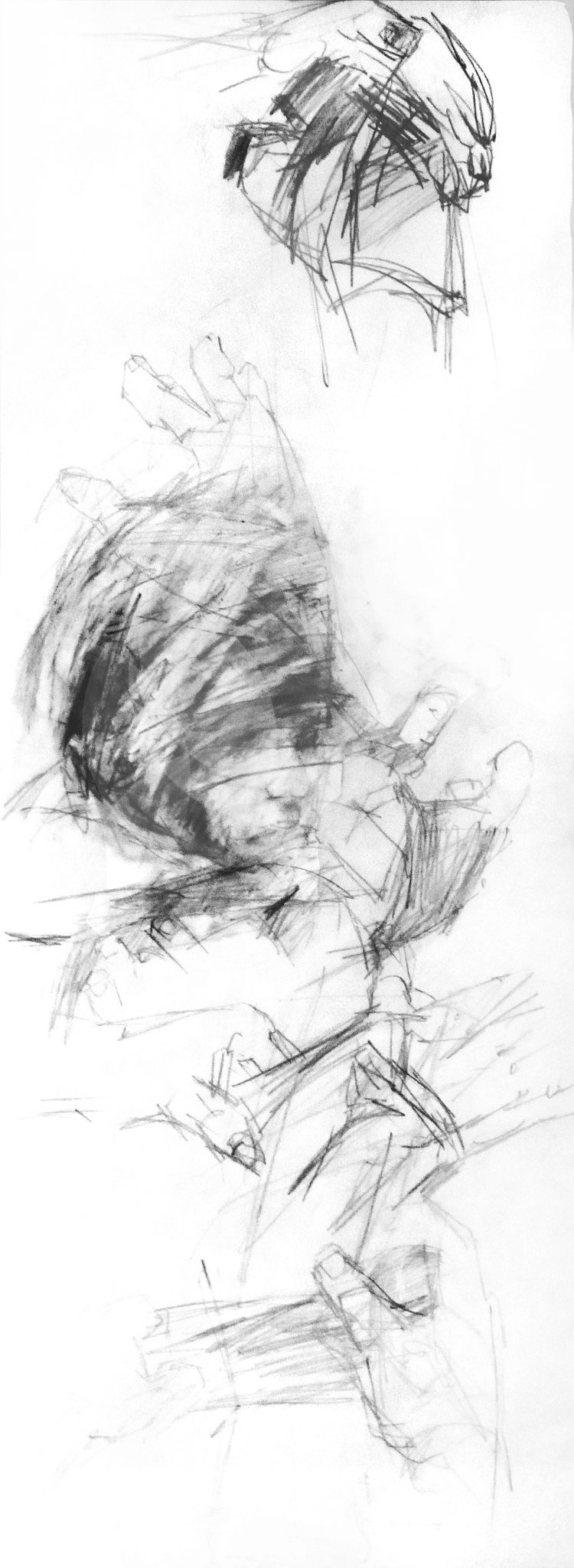 The Kid, Grafit, 50 x 160 cm