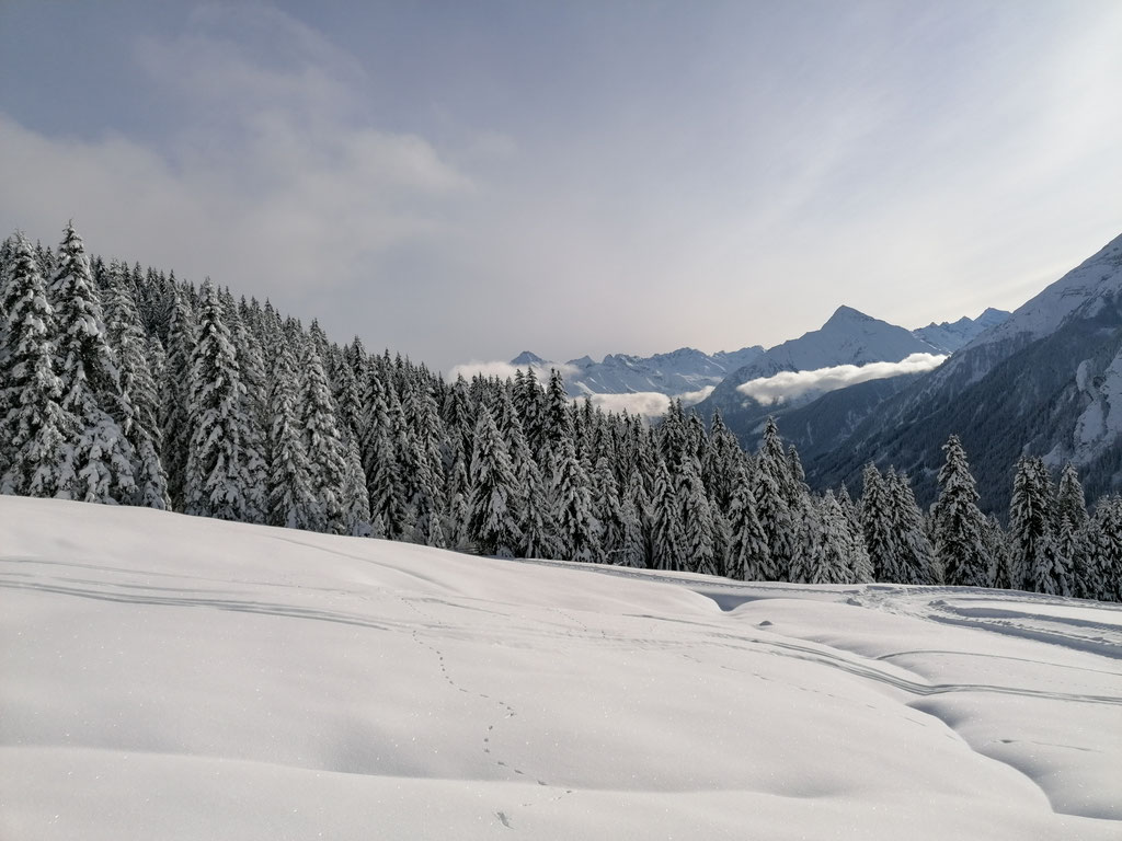 Skitouren im Zillertal - Foto Odo Gredler