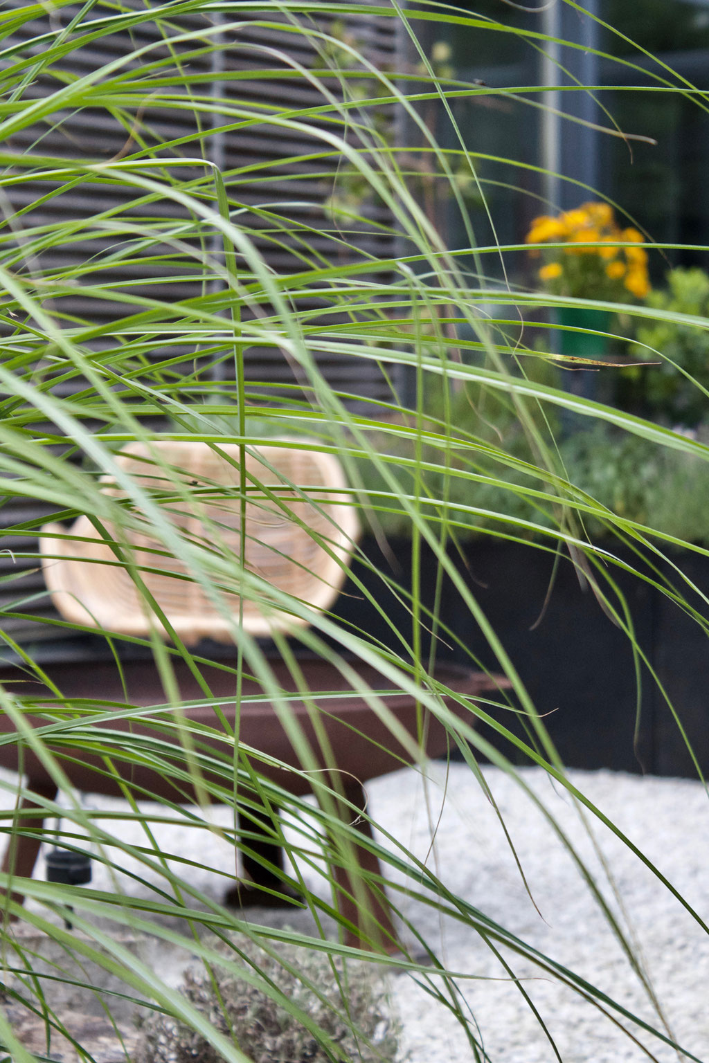 dieartigeGARTEN - Sommerterrasse hinter Chinaschilf |  Kiesterrasse, Feuerschale, Rattansessel