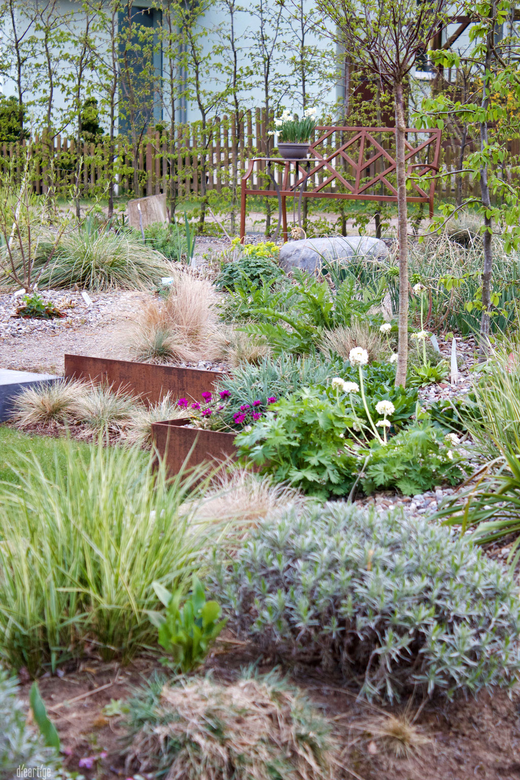 dieartigeGARTEN - Westterrasse, Südgarten mit Zypressenwolfsmilch + Lavendel