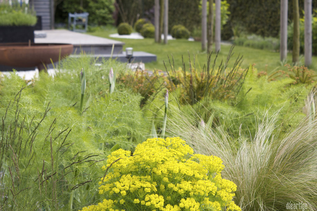 dieartigeBLOG - GARTEN // Zypressenwolfsmilch, Gräser, Gartenfenchel