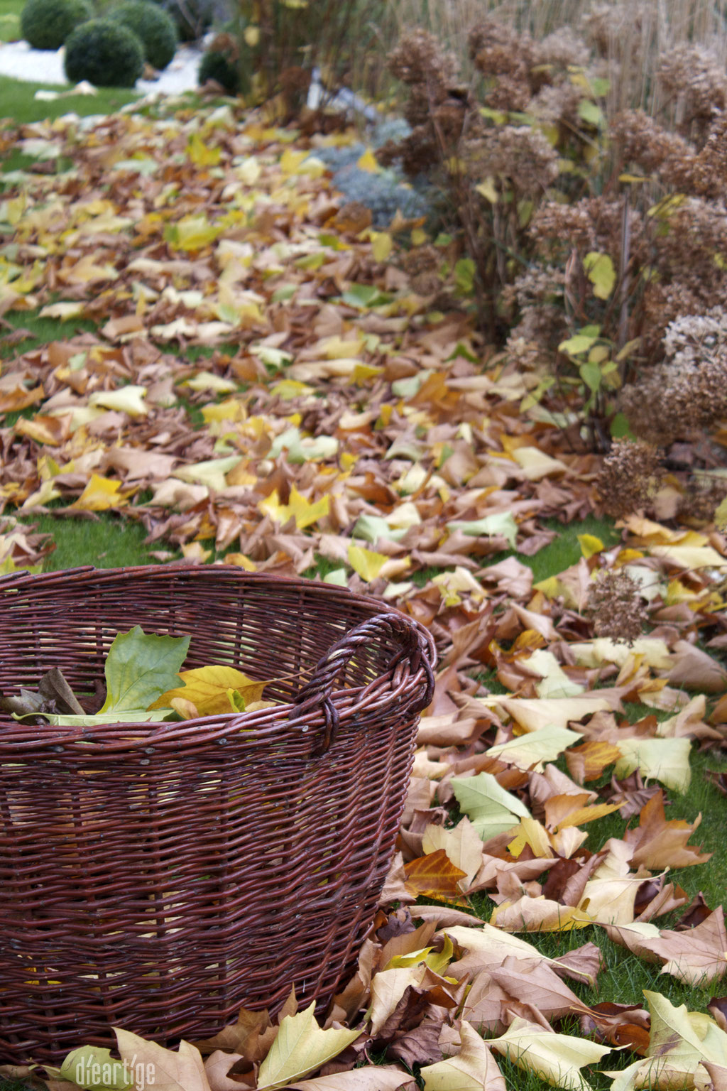 dieartigeBLOG - Kiepe zum Sammeln von Herbstlaub 