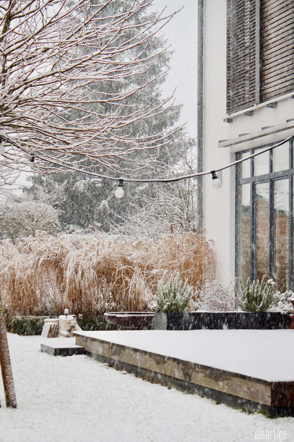 dieartigeBLOG - Schnee im Wintergarten, Chinaschilf + Terrasse