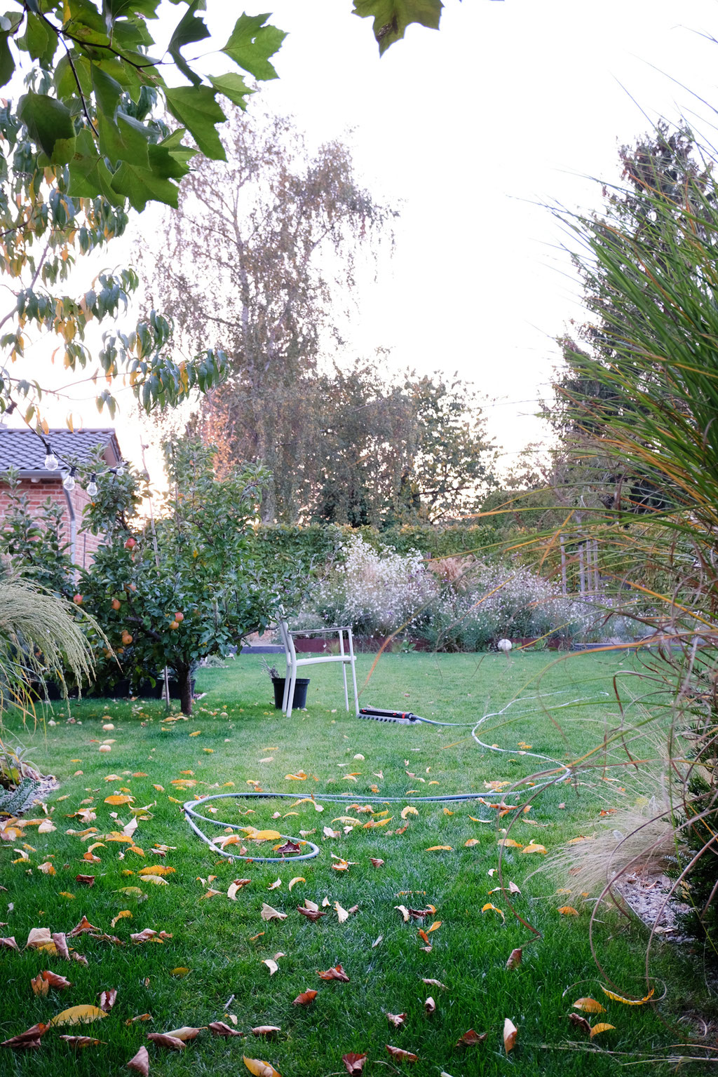 dieartigeGARTEN - Oktobergarten | Gartenblick gen Westen