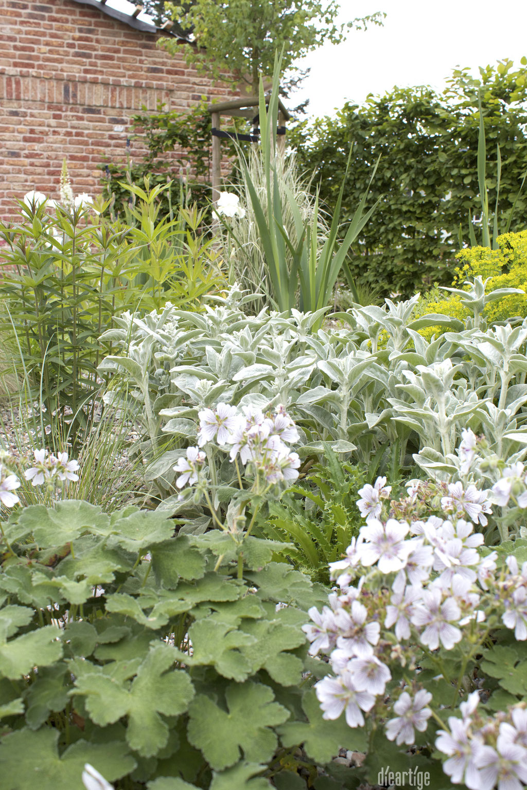 dieartigeBLOG - GARTEN // Steppengarten - Storchenschnabel, Euphorbien, Schwertlilie, Kandelaber-Ehrenpreis