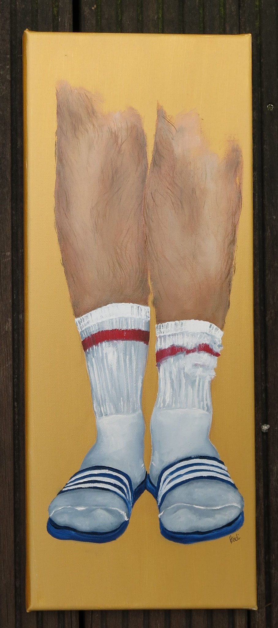 Füße VI  20x50 7/23   210,-