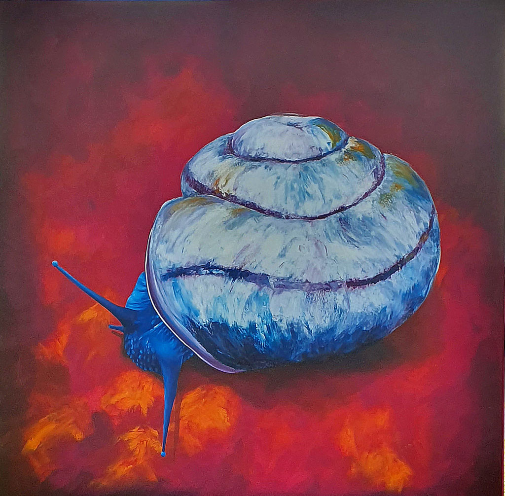 Schnecki II  80x80  2024   VERKAUFT