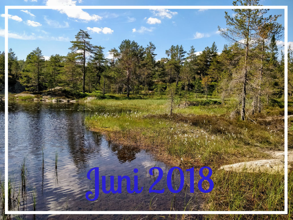 Juni 2018