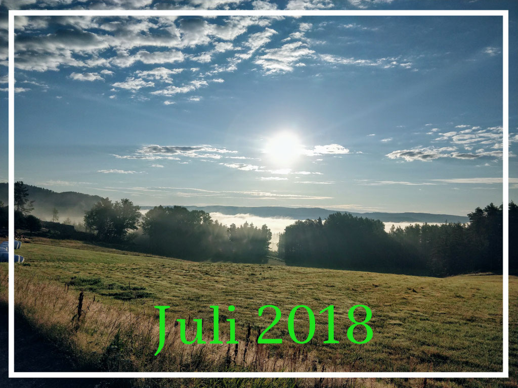Juli 2018