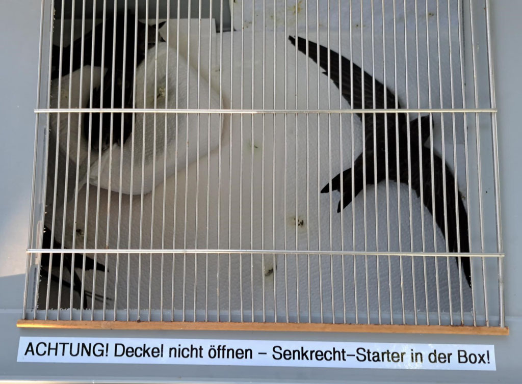 Besondere Fracht