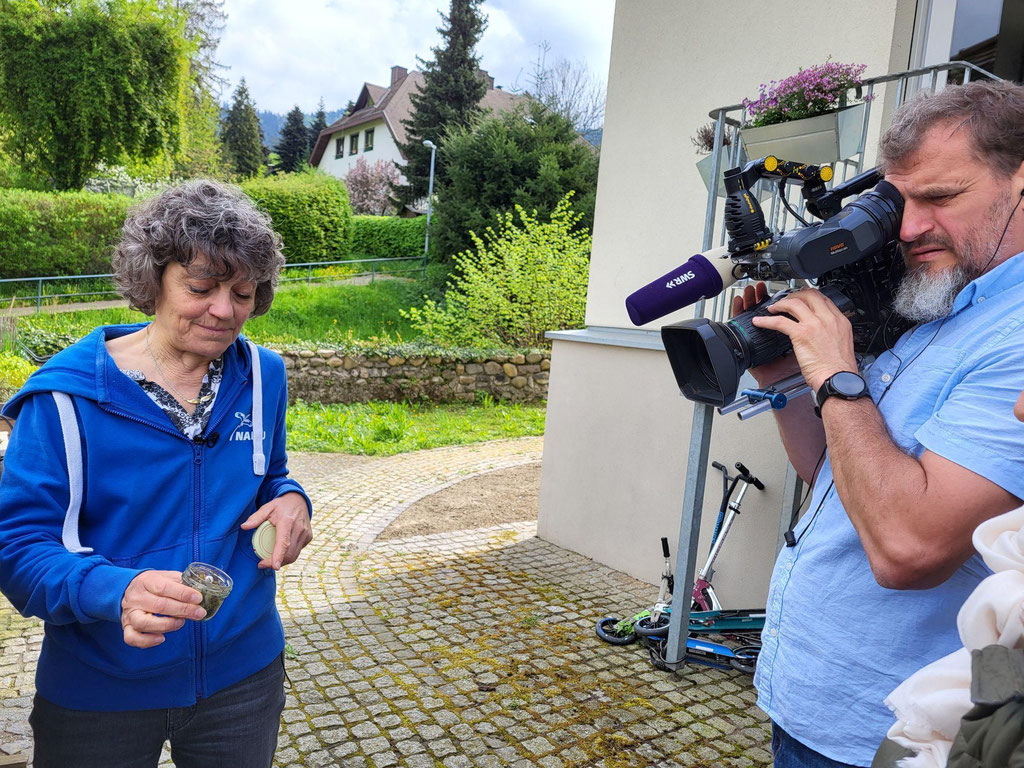 Foto: Franz Aiple, Ein Nest mit einem nicht mehr ausgebrüteten Ei aus dem Vorjahrr 