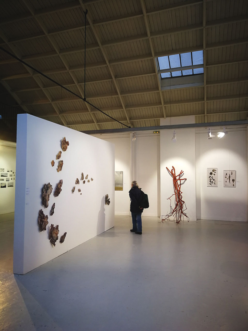 Nature Art, Espace Commines, 75004 Paris. Commissariat Association Florence, 2019.