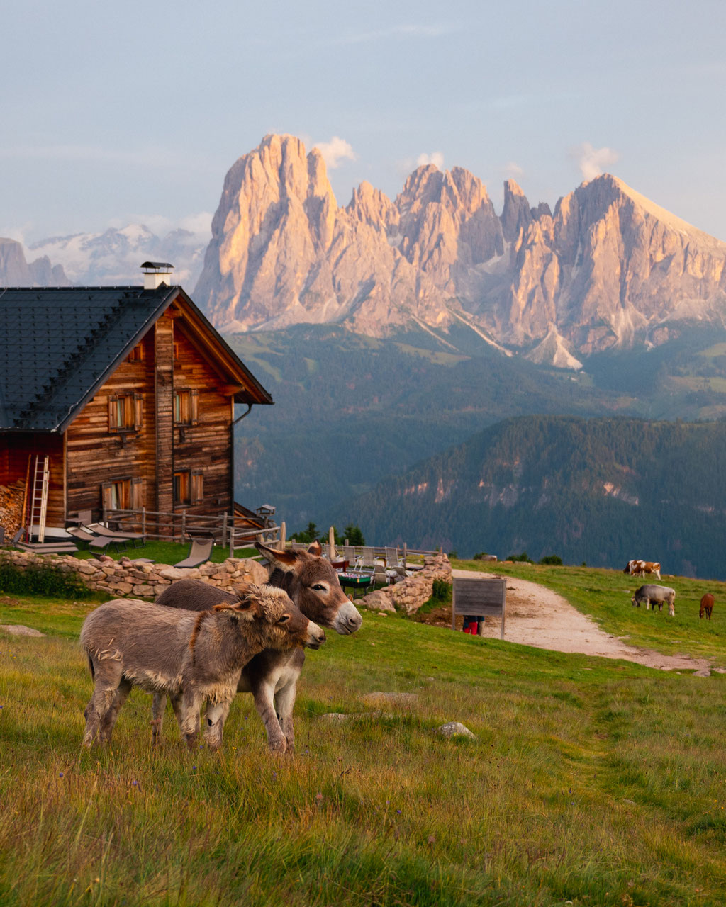BUCH: Wanderzeit in Südtirol - herrlich entspannte Touren zum Abschalten & Genießen, DUMONT, Marika Unterladstätter _fullwidth-gallery-splash
