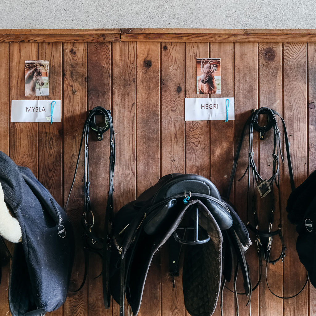 Holzleb’n Family Village – where chalet comfort meets farmyard charm in the heart of Salzburg’s mountains. A Mountain Hideaways member. ©Mela Hipp