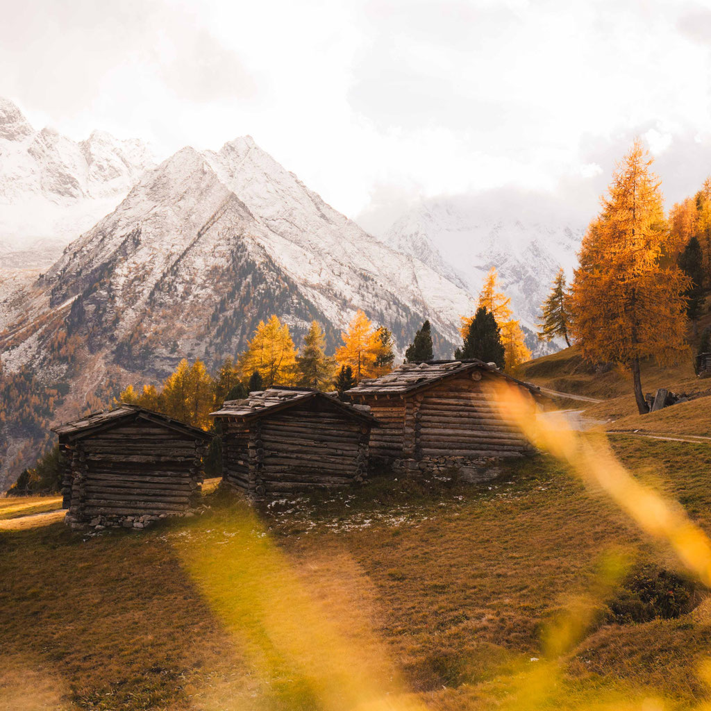 MOUNTAIN HIDEAWAYS - private Rückzugsorte in den Alpen - Apartments, Chalets: Adria Pura Apartments, Aparthotel in Südtirol 