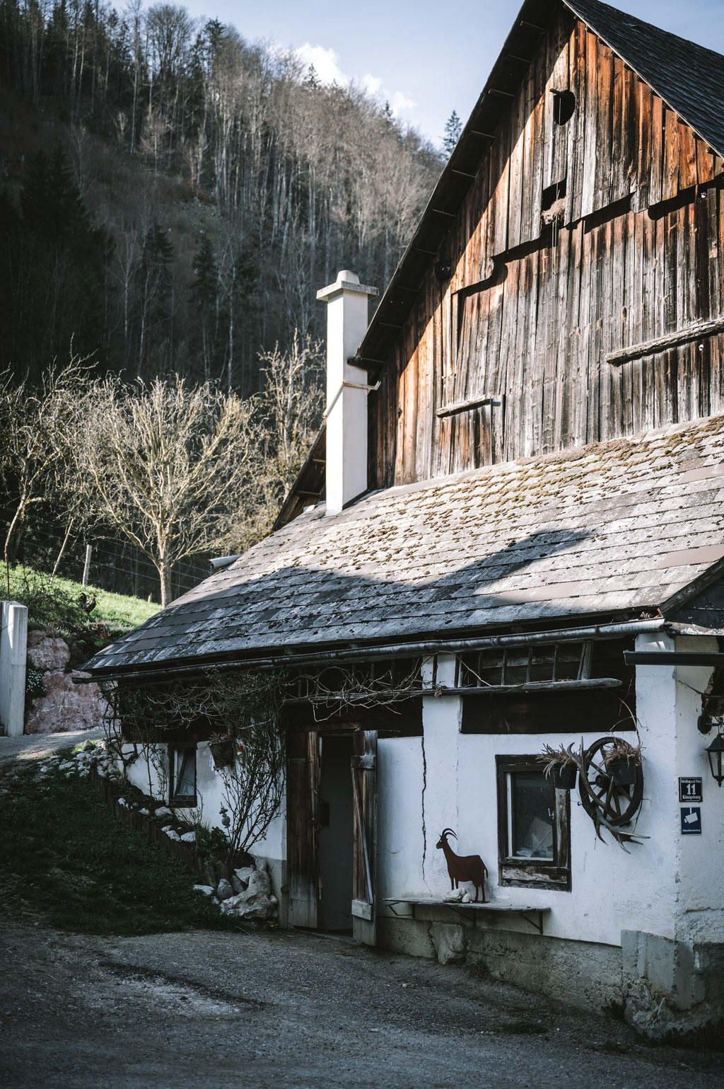 Bio-Bergbauernhof "Klein Hiefelreith" von Judith und Mario Huber, natur.juwel Ybbstaler Alpen - Niederösterreich ©Marika Unterladstätter