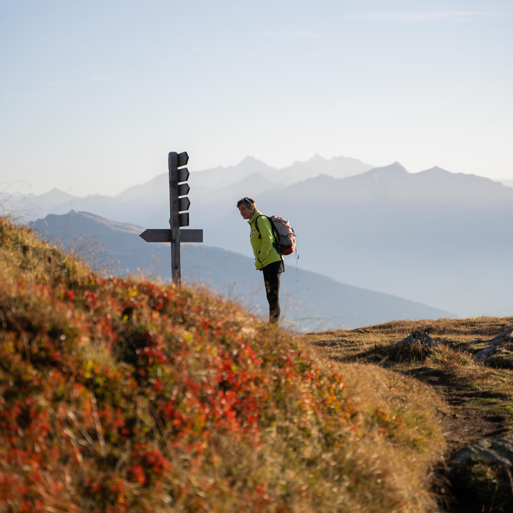 leichte Sonnenaufgangswanderung zur Flecknerspitze, aussichtsreicher Gipfel im Passeiertal, Jaufenpass - Südtirol  Wochenprogramm Apfelhotel Farmhouse Torgglerhof