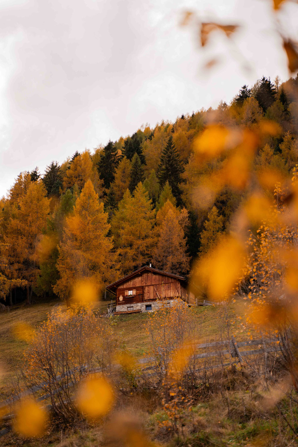 Where Hay Barns Meet Glaciers: Hiking to the Lobisa Schupfn above Rein in Taufers, South Tyrol ©Lena Sulzenbacher