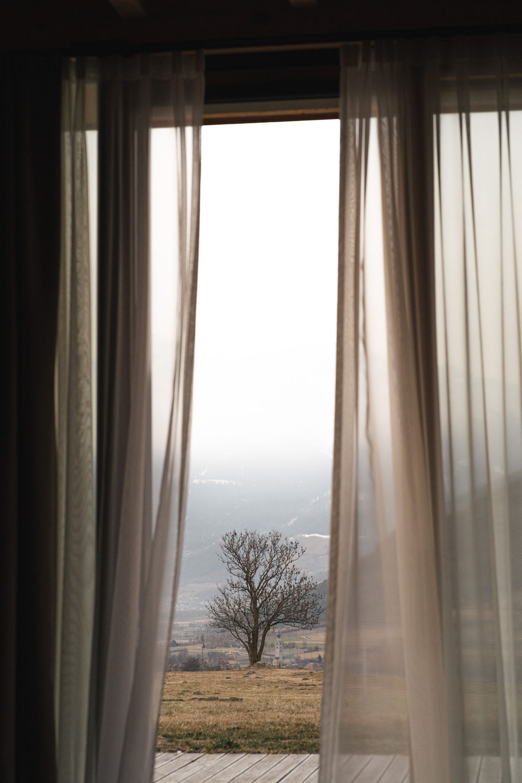 Blick aus dem Garberhof durch leichte Vorhänge auf eine ruhige Landschaft mit einzelnem Baum.