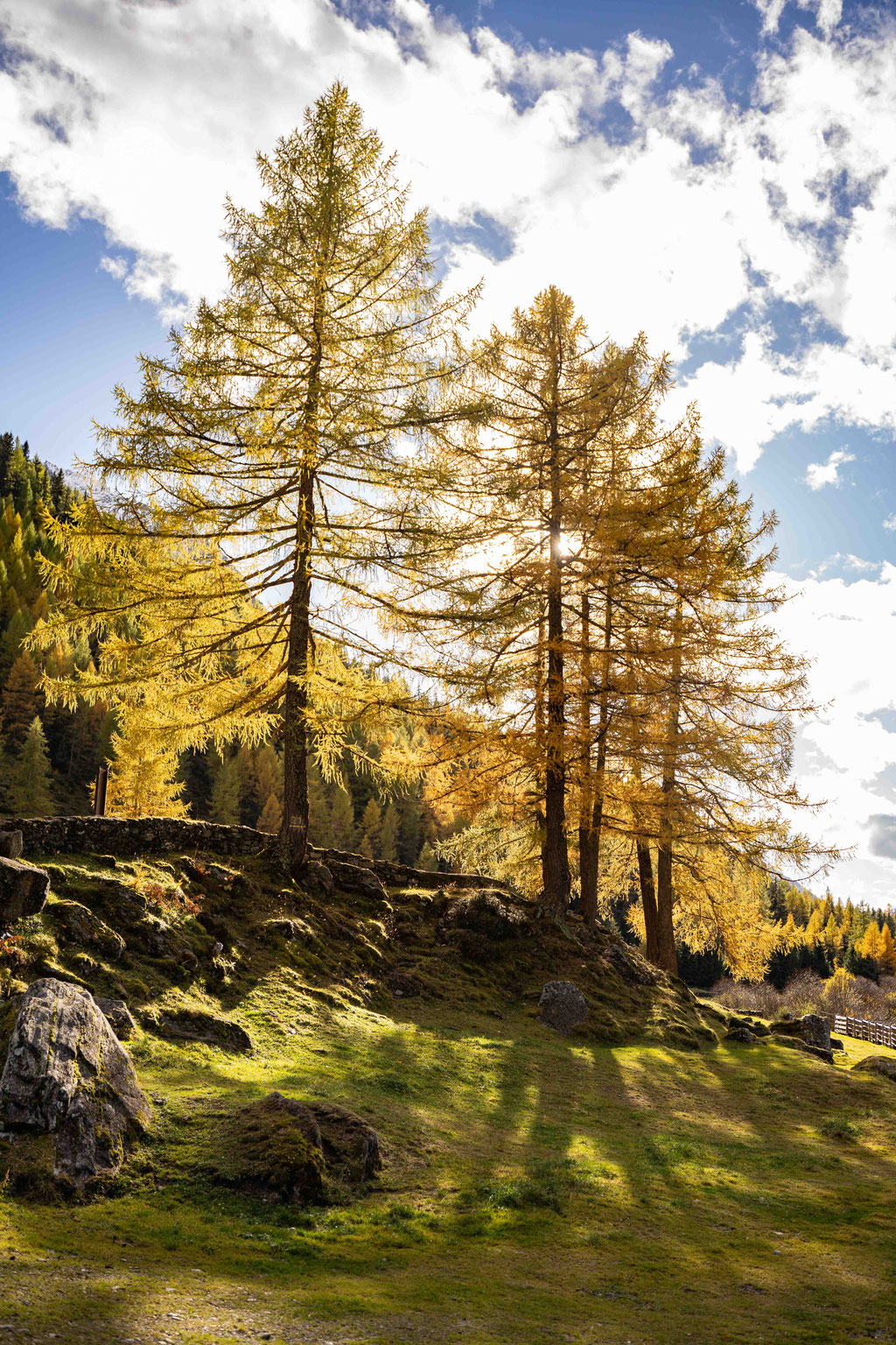 HEILIG GEIST KIRCHE - leichte Wanderung zum Wallfahrtsort und Fotospot im Tauferer Ahrntal - Südtirol  ©Lena Sulzenbacher