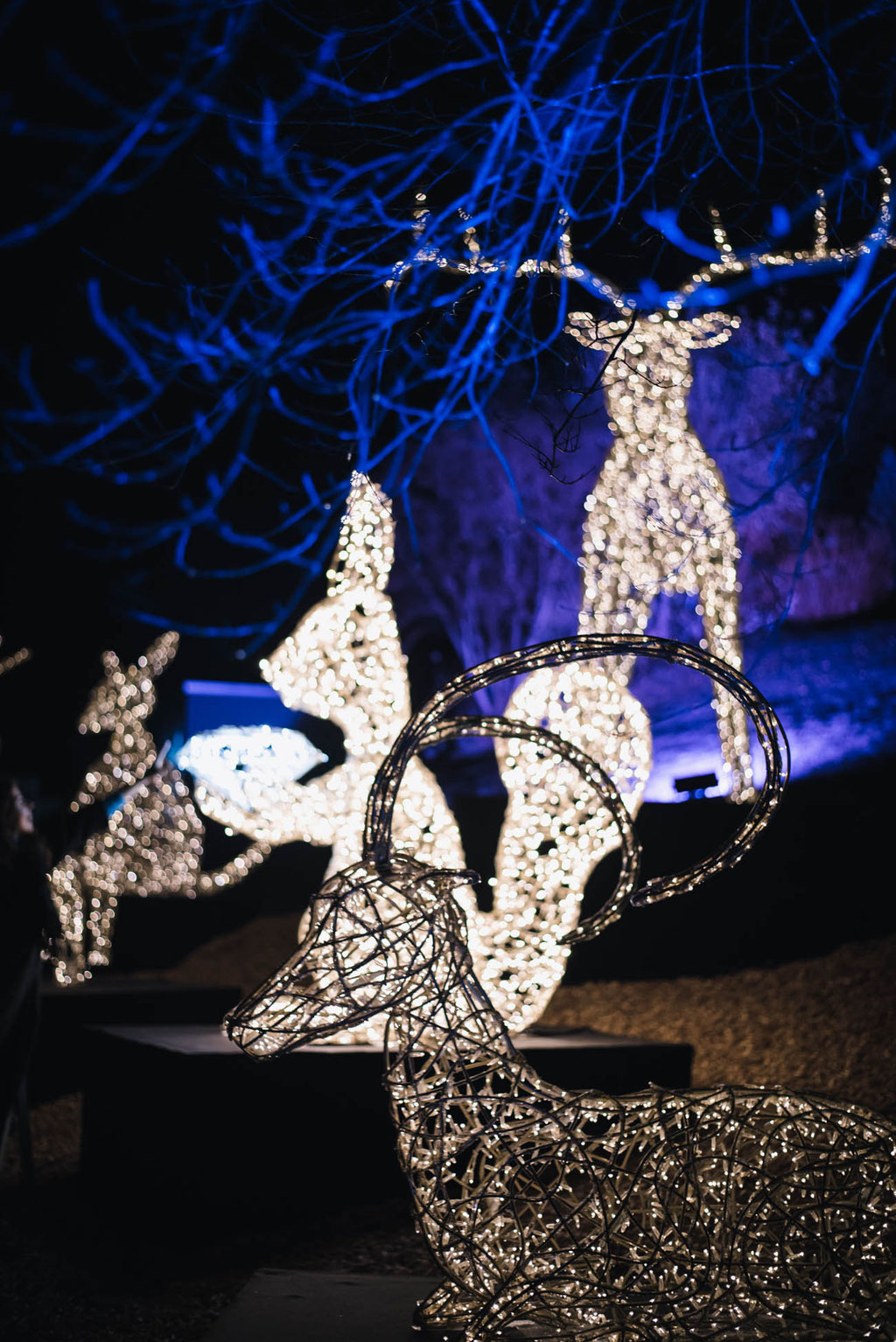 Lichtfestival 2019/20 - Swarovski Kristallwelten - das funkelndste Wintermärchen in den Alpen (Wattens, Tirol)