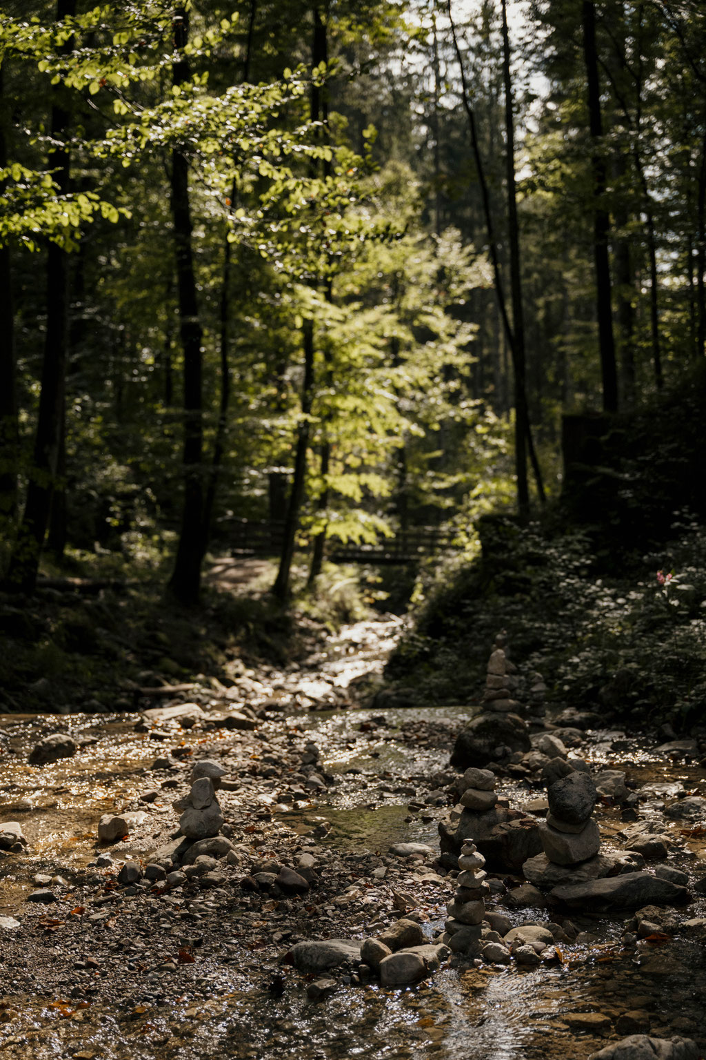 Wandertipp: Durch die Rehbachklamm zur Hinterschießling Alm • Familienwanderung im Wilden Kaiser | Tirol ©Marika Unterladstätter