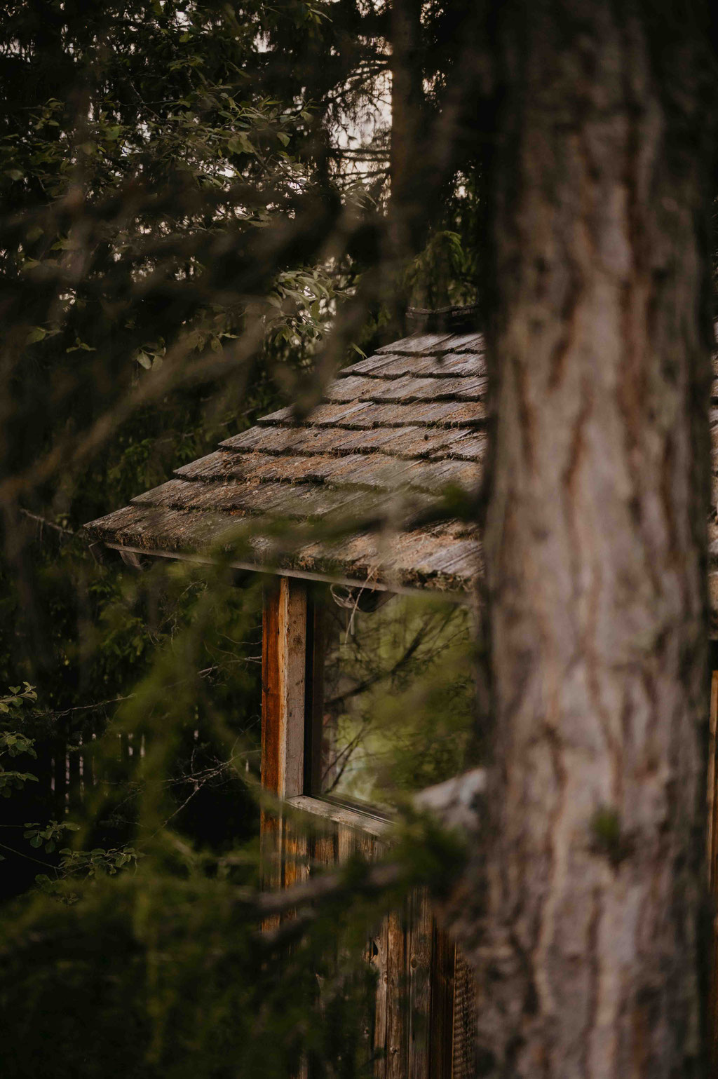 SAUNAHÄUSCHEN - Waldwellness im Hotel Tann am Ritten in Südtirol mit Ruheplätzen und Spa-Bereich mitten im Wald.