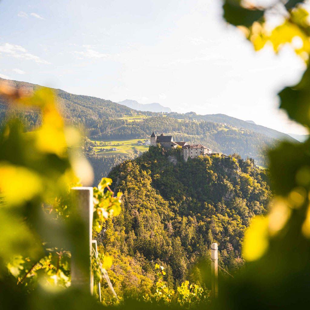 ON THE CHESTNUT TRAIL FROM FELDTHURNS TO KLAUSEN, Eisack Valley - South Tyrol  ©Lena Sulzenbacher