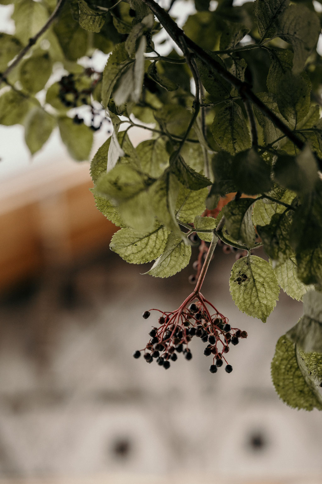 DAS1494 • Ferien im Baudenkmal | Apartmenthaus am Mieminger Plateau in Tirol • Member of Mountain Hideaways ©MarikaUnterladstätter _fullwidth-gallery-splash