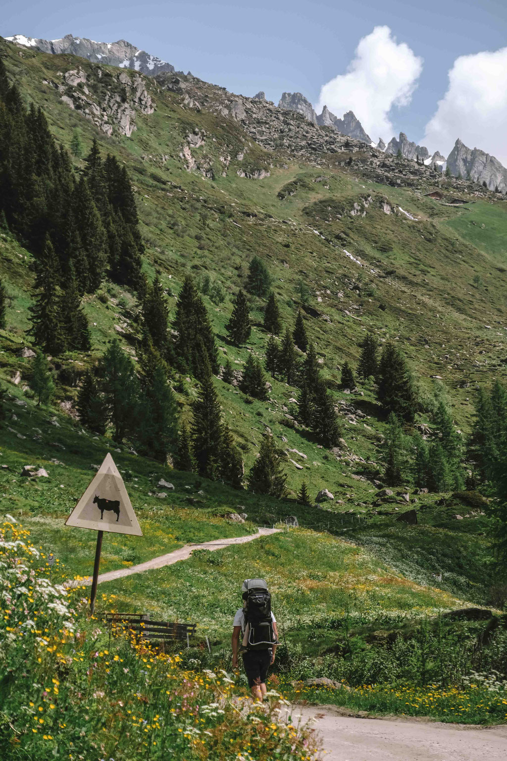 Wandertipp: OBERE TAUERNALM • familientaugliche Wanderung zur Oberen Tauernalm im Naturpark Rieserferner Ahrn | Tauferer Ahrntal - Südtirol ©Mela Hipp