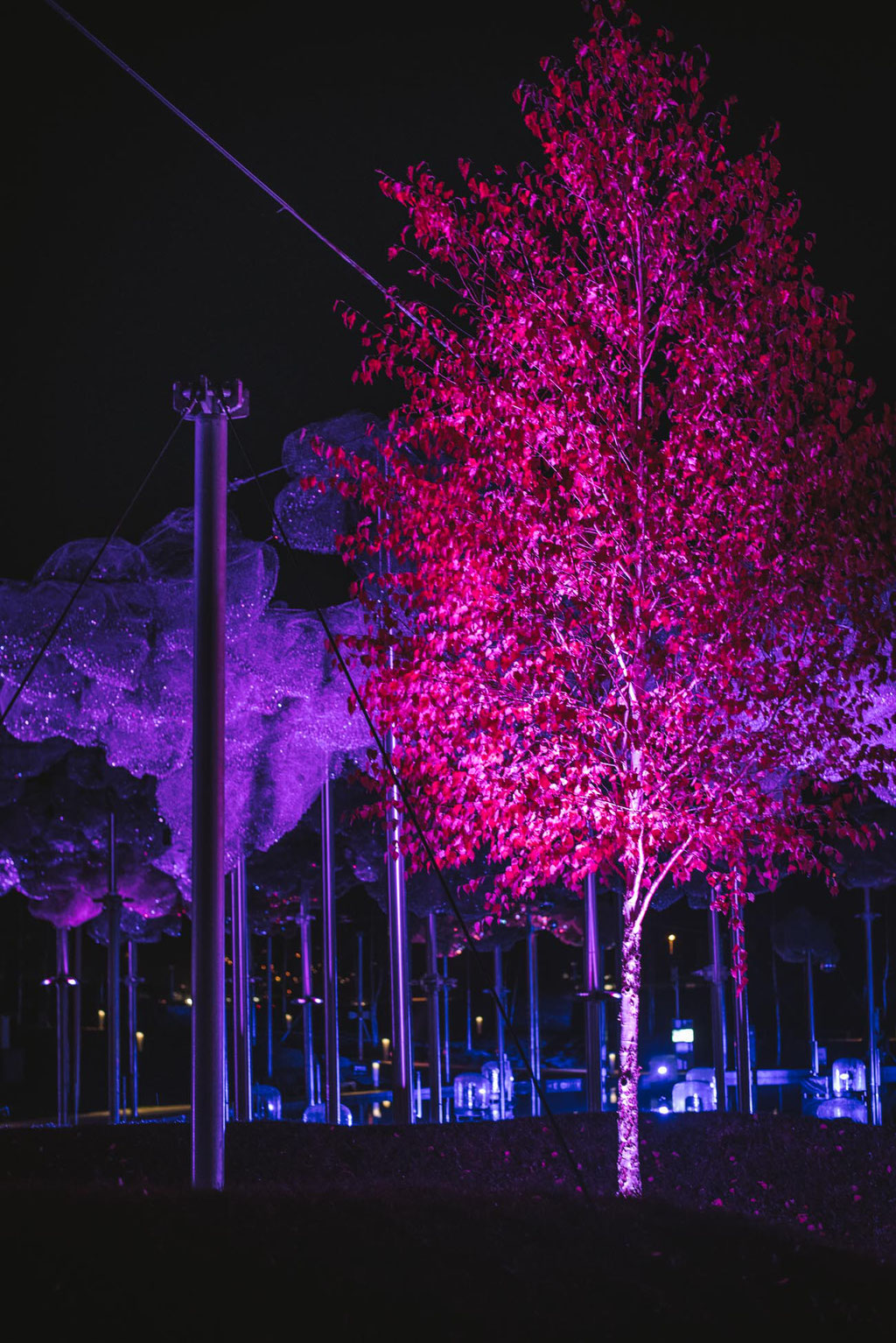 Lichtfestival 2019/20 - Swarovski Kristallwelten - das funkelndste Wintermärchen in den Alpen (Wattens, Tirol)