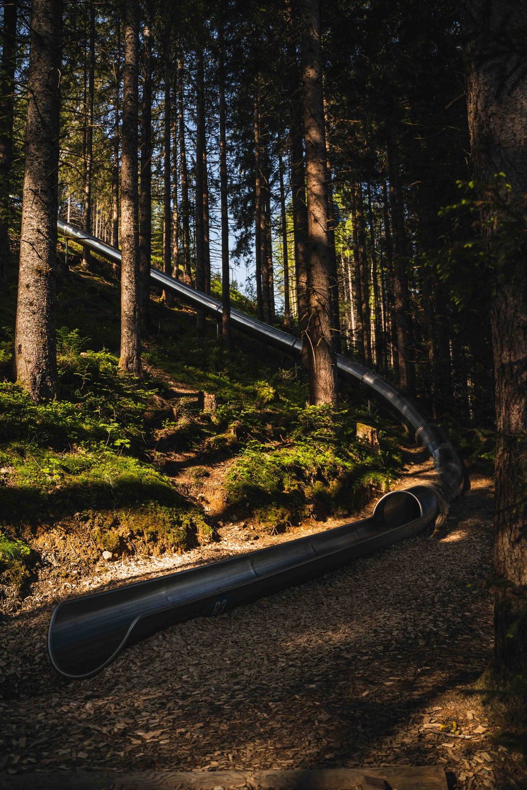 Waldrutschenpark am Natrun in Maria Alm mit Edelstahlrutschen für Familien – Erlebnisweg am Hochkönig im Salzburger Land.