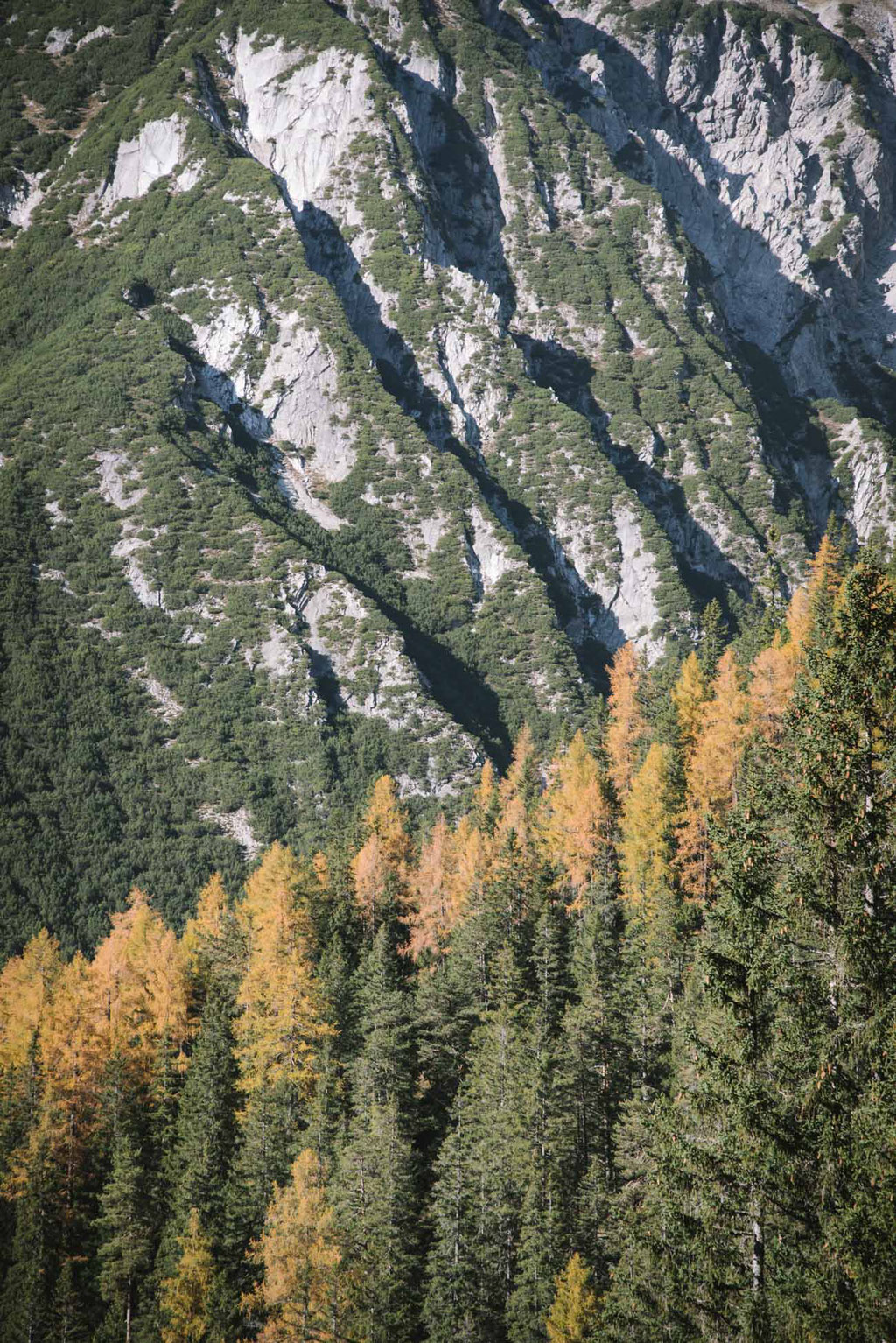 Wanderung: Lehnberghaus - Lacke, Mieminger Plateau, Mieminger Berge, Obsteig, Almhütte mit Übernachtungsmöglichkeit  in Tirol