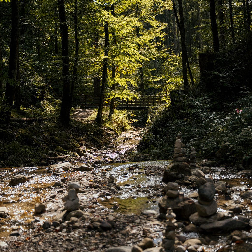 Wandertipp: Durch die Rehbachklamm zur Hinterschießling Alm • Familienwanderung im Wilden Kaiser | Tirol ©Marika Unterladstätter