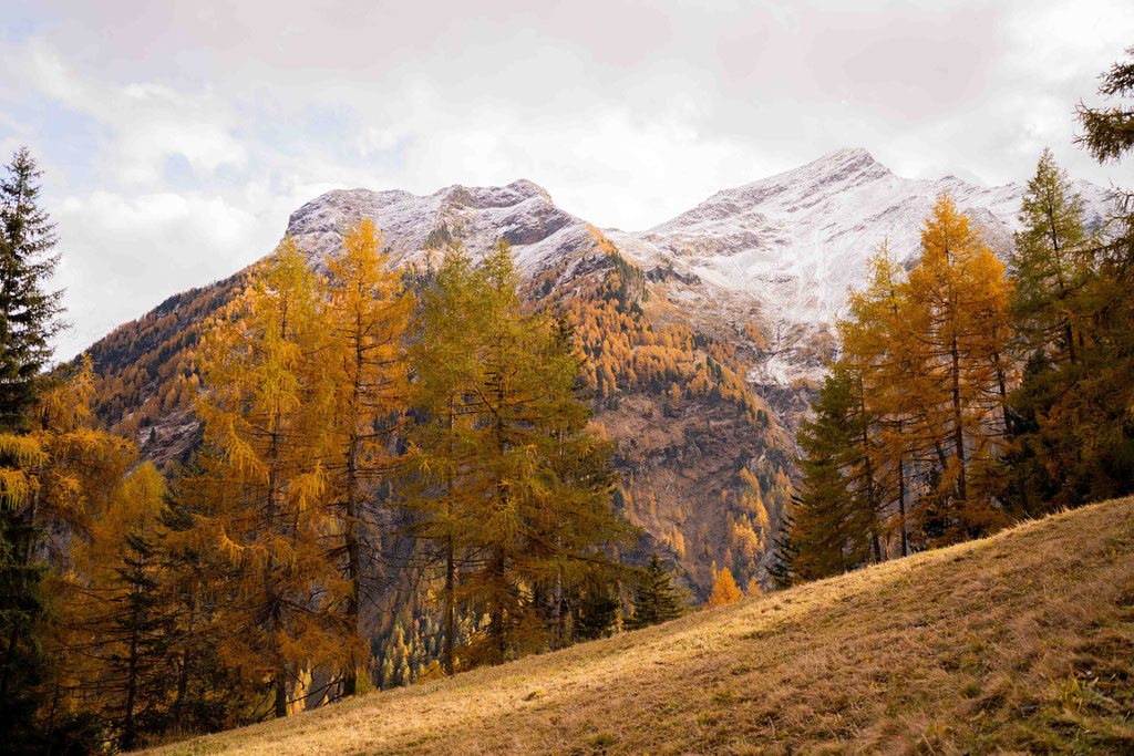Where Hay Barns Meet Glaciers: Hiking to the Lobisa Schupfn above Rein in Taufers, South Tyrol ©Lena Sulzenbacher