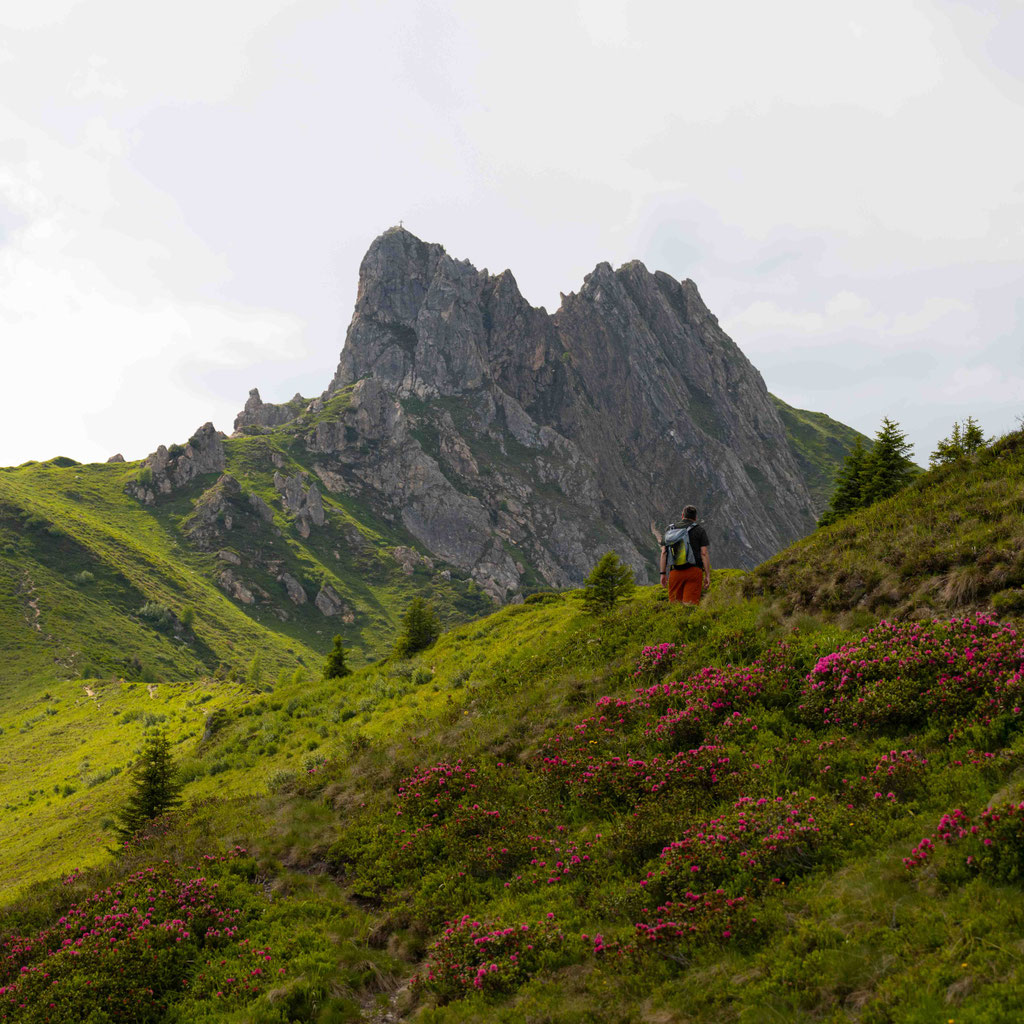 Schuhflicker im Großarltal, Rundwanderung Aualm - Aukopf - Schuhflicker - Schuhflickersee