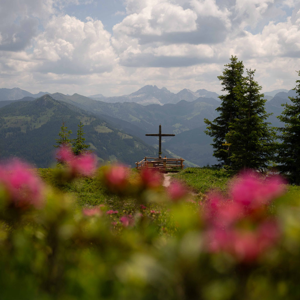 Schuhflicker im Großarltal, Rundwanderung Aualm - Aukopf - Schuhflicker - Schuhflickersee