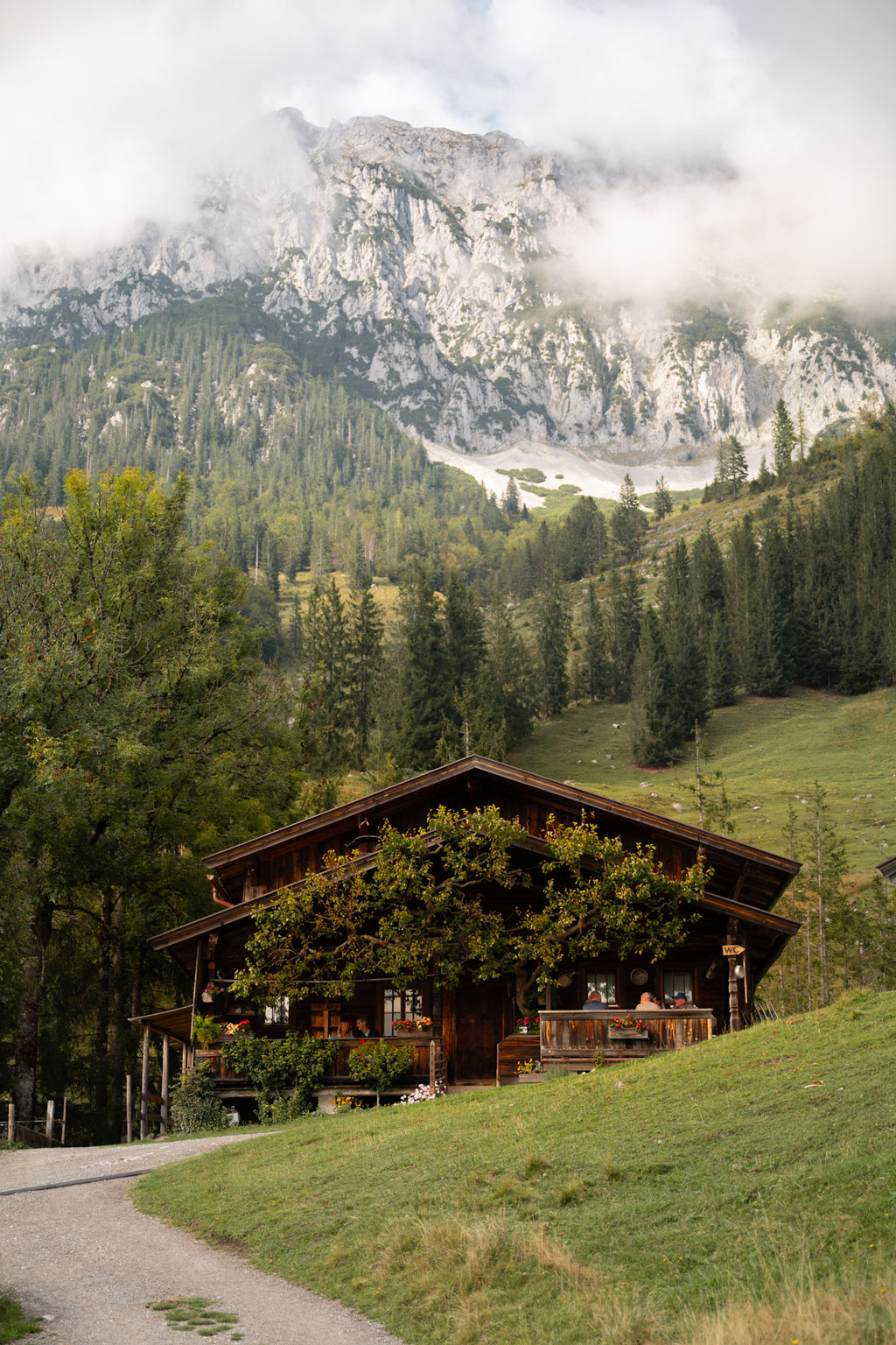 Wandertipp: Durch die Rehbachklamm zur Hinterschießling Alm • Familienwanderung im Wilden Kaiser | Tirol ©Marika Unterladstätter