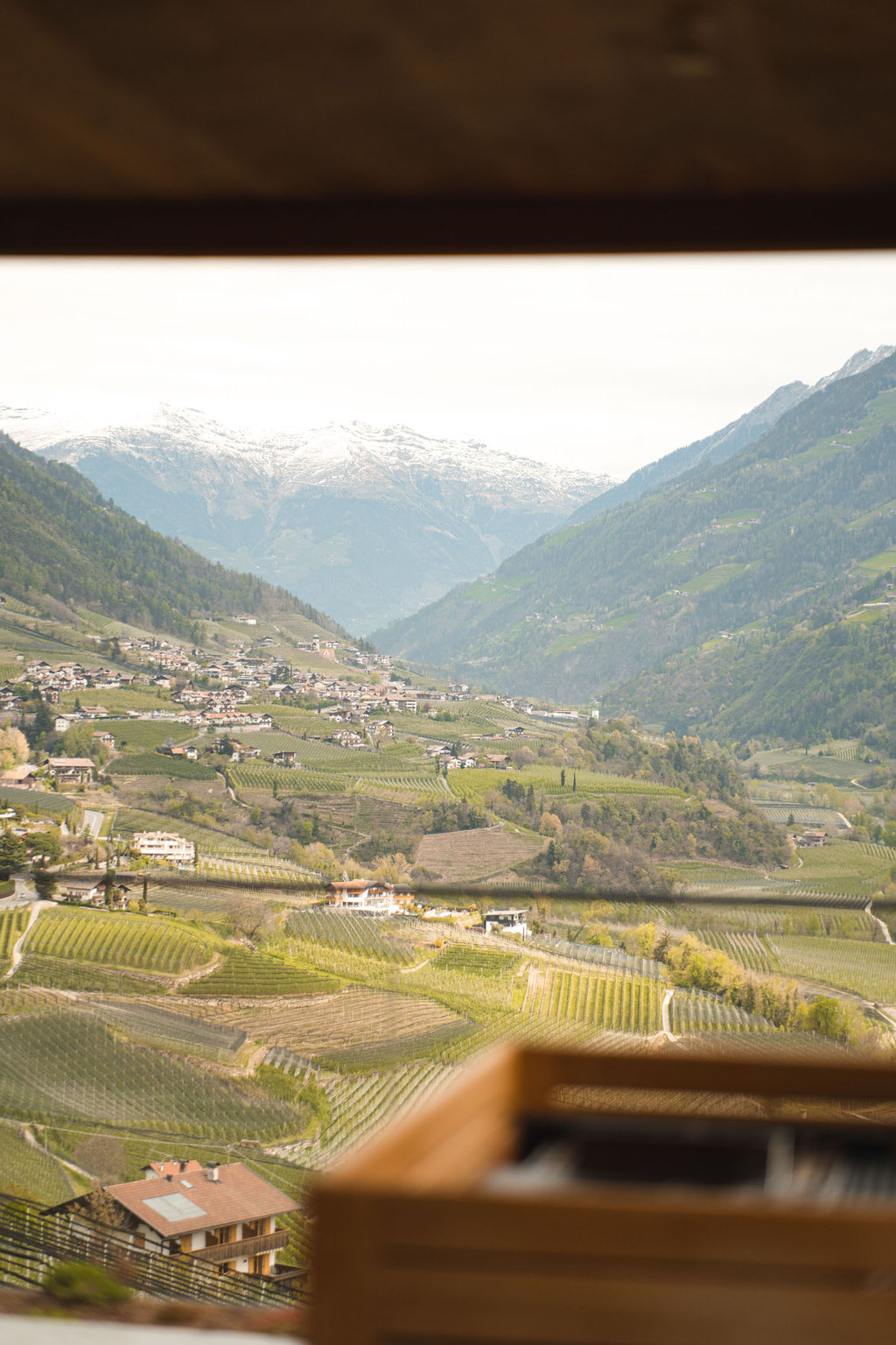 Sauna with vineyard views at VINEA Suites & Apartments