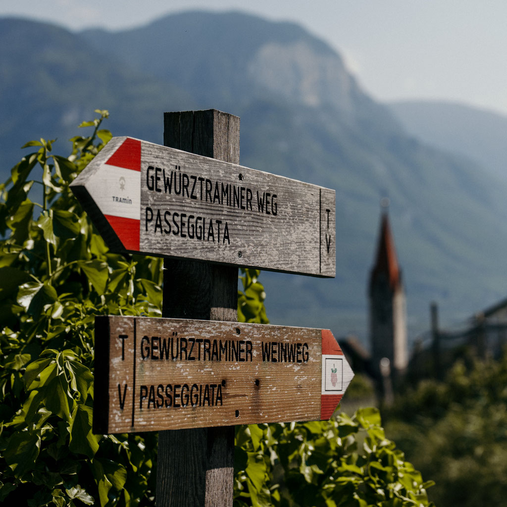 GEWÜRZTRAMINERWEG - Wandertipp: Weinwandern in Tramin an der Weinstrasse - Südtirol ©Marika Unterladstätter