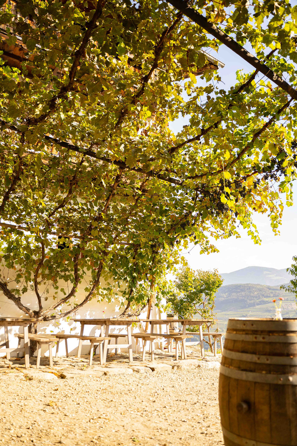 TÖRGGELEN IN BRESSANONE – SOUTH TYROL’S FIFTH SEASON, Burgerhof Messner - Bressanone, Eisack Valley ©Lena Sulzenbacher