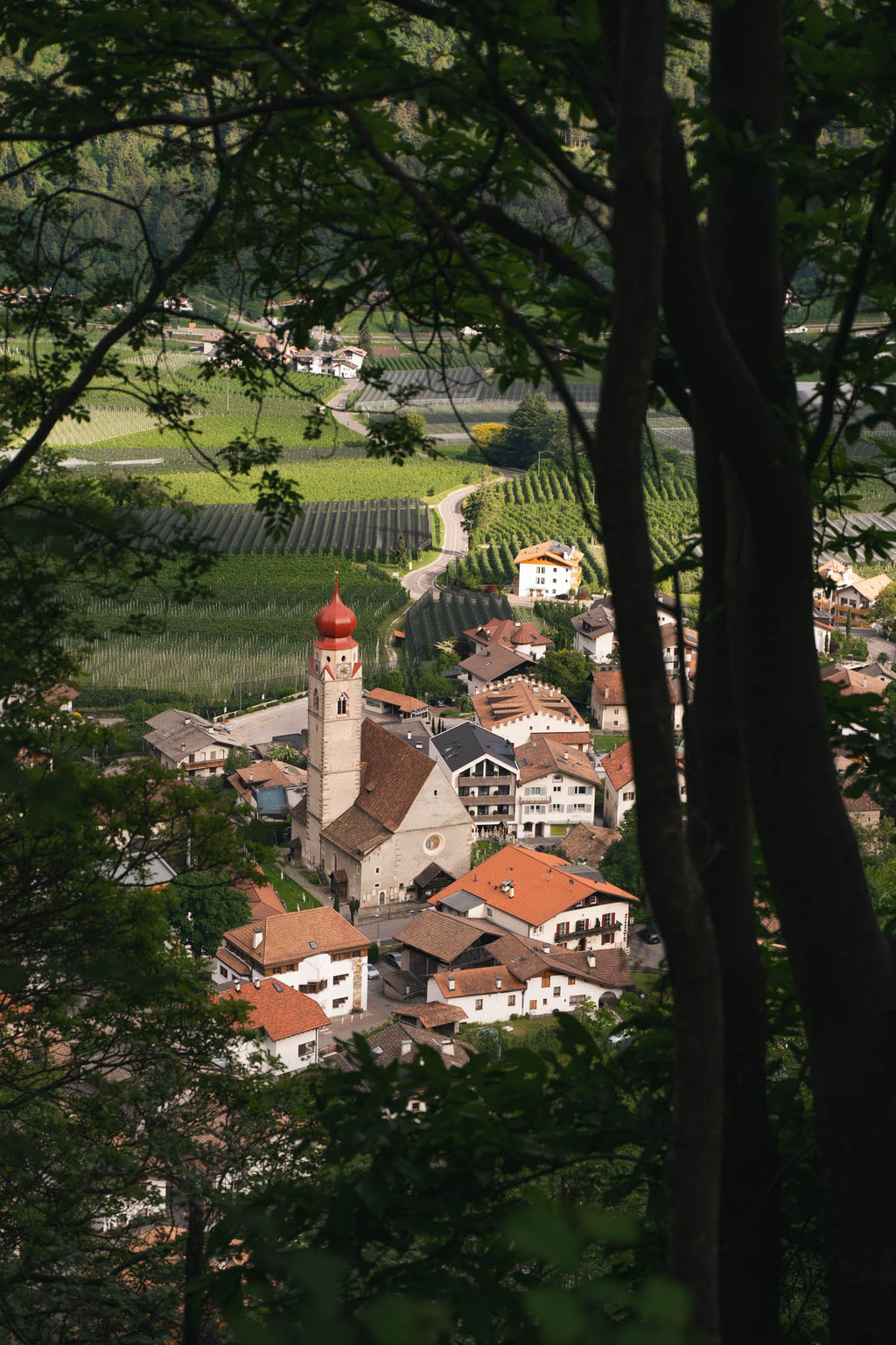 A view over Partschins with its striking parish church, vineyards and orchards, framed by trees at the edge of the forest. The idyllic countryside surrounding the Hotel Mair am Ort Living in Partschins near Merano in South Tyrol is perfect for walks and e