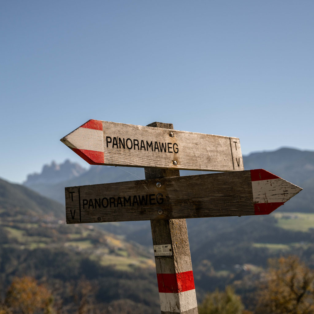 Panorama & Chestnut Trail Feldthurns – one of the most beautiful autumn hikes in the Eisack Valley, South Tyrol ©Marika Unterladstätter