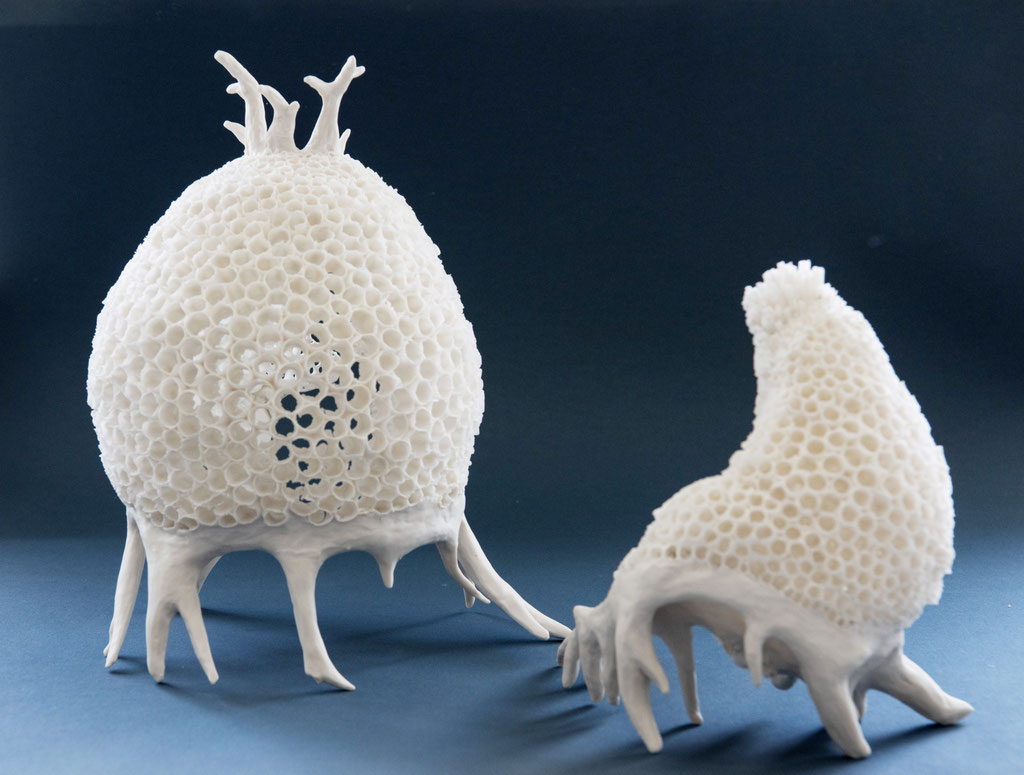 solitude; 2024; 2-pieces; porcelain; 32/25/25 cm