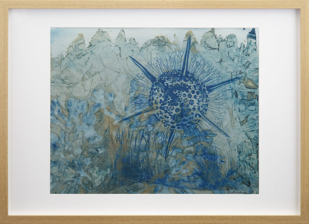 Maritime life; 2025; Cyanotypie auf Aquarellpapier; 70/50 cm inkl. Rahmen