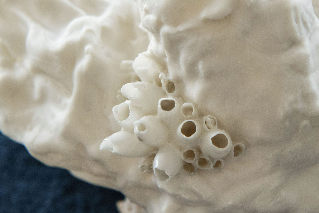 where have all the colors gone?, (Detail)  porcelain