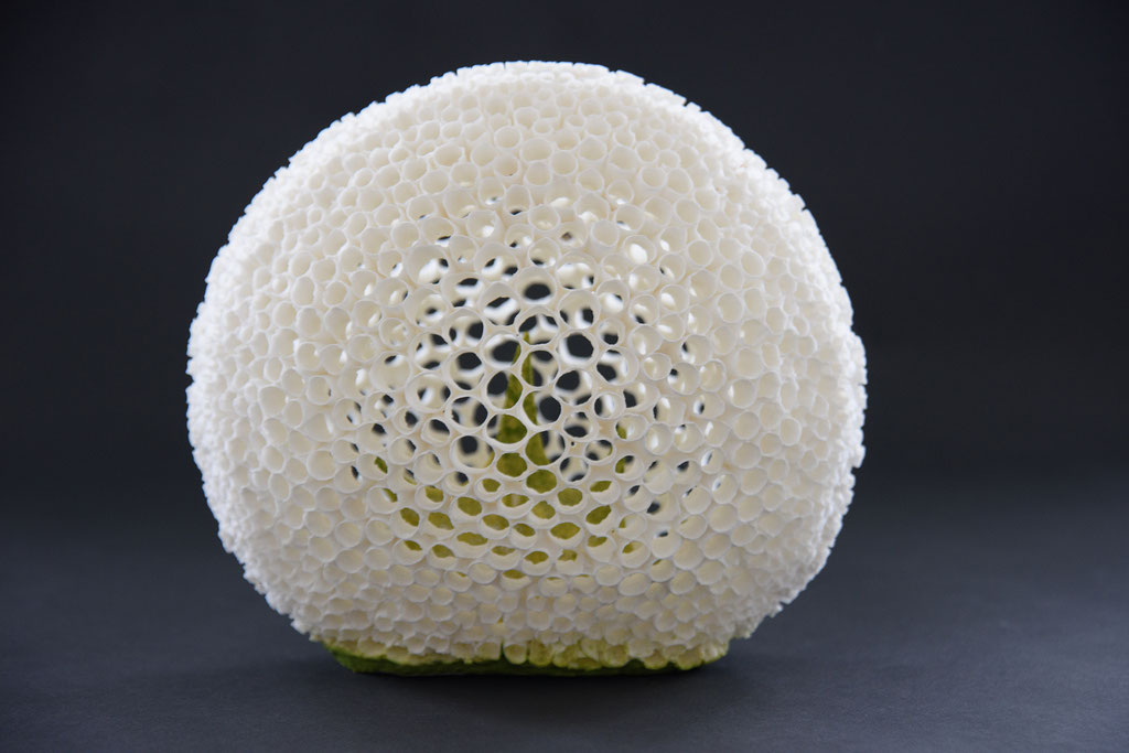 protected; 2025; porcelain; 24/23/16 cm