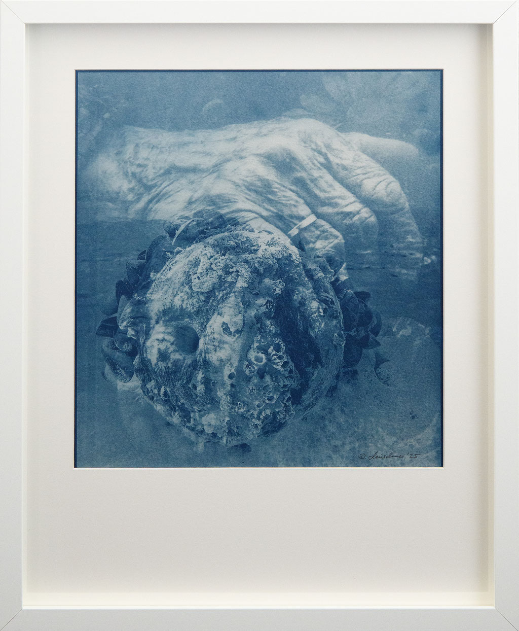 Fisherman´s widow; 2025; Cyanotypie auf Aquarellpapier; 50/40 cm inkl. Rahmen