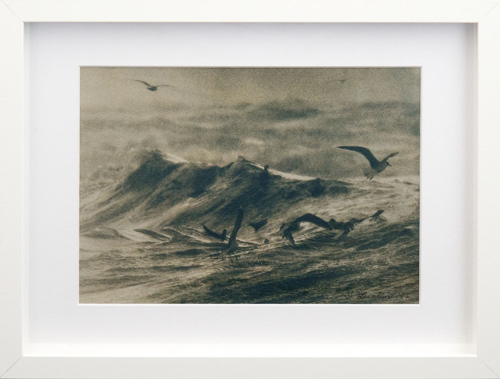 moving force; 2025; Cyanotypie auf Aquarellpapier; 30/40 cm inkl. Rahmen