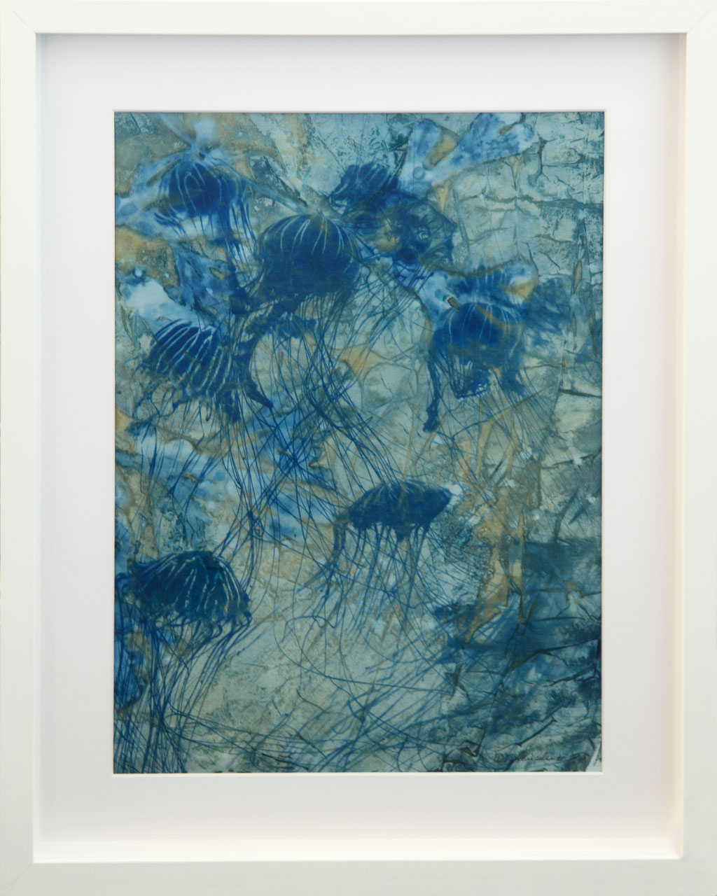 Jellyfish; 2025; Cyanotypie auf Aquarellpapier; 50/40 cm inkl. Rahmen